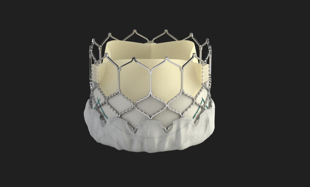 Valve SAPIEN 3 Valve SAPIEN 3