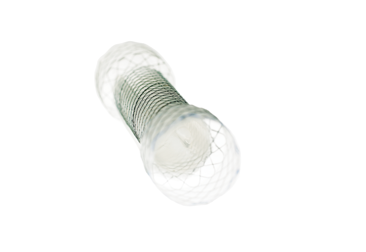 Stent oesophagien